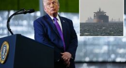 âMany countriesâ to send war ships to keep Strait of Hormuz âopen and safeâ: Trump